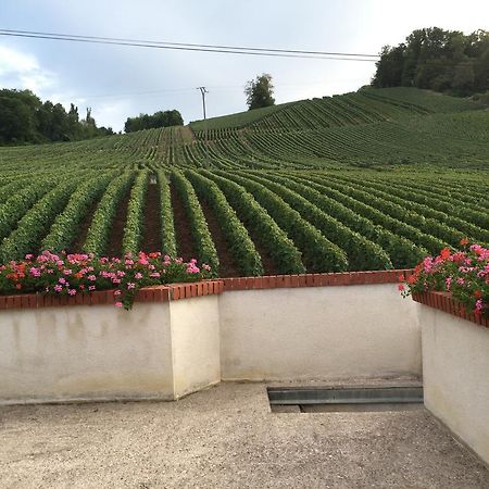 Villa La Loge Du Vigneron Vauciennes  Exterior foto